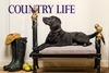 Featured In: Country Life, Sept 2020