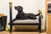 Cornish company launches bespoke metal dog beds