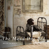 maud 15% off bed of the month