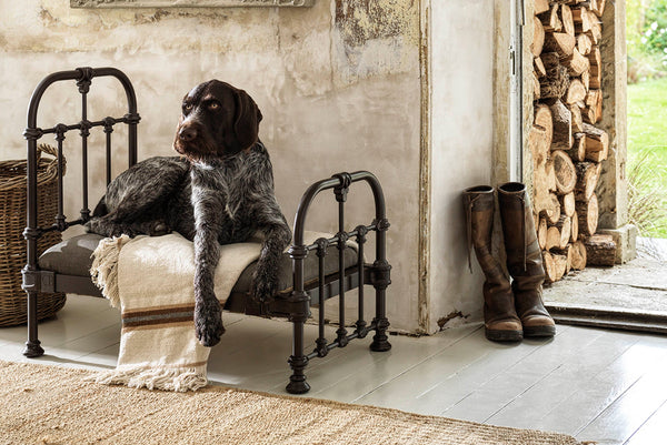 The Cornish Bed Company Dog Bed Dog Pet Bed
