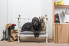 The Cornish Bed Company Dog Bed Somerset Dog Day Bed